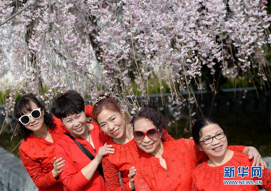 （请发频道）2018西安雁塔国际樱花节启动